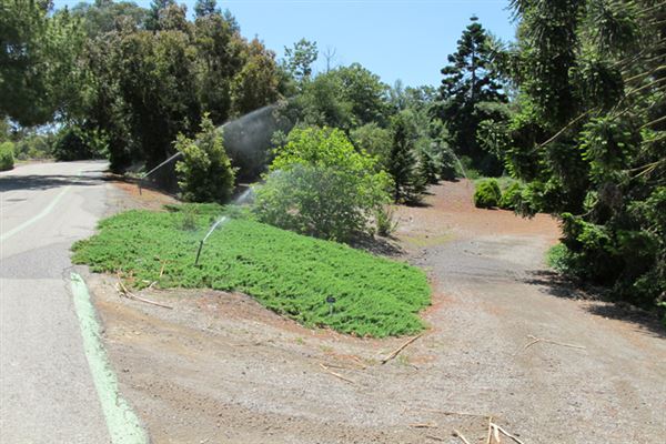 South Coast Botanic Garden (6/1/2019 - Credits: LocoScout)