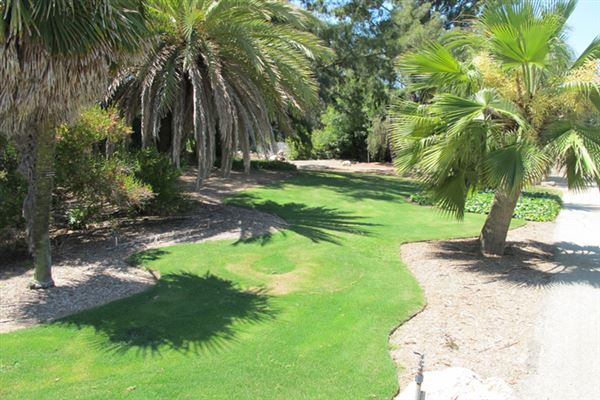 South Coast Botanic Garden (6/1/2019 - Credits: LocoScout)