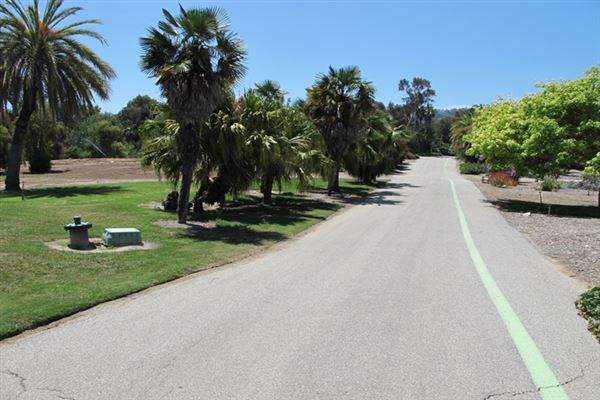 South Coast Botanic Garden (6/1/2019 - Credits: LocoScout)