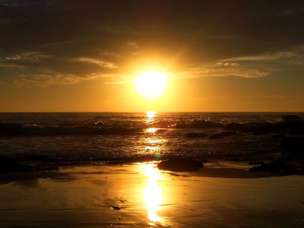 Crystal Cove State Park (SP) (12/31/2003)
