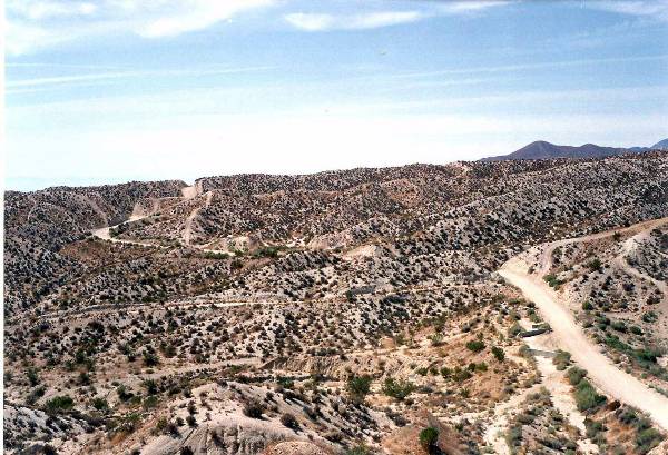 Dove Springs  B L M (12/31/2003)
