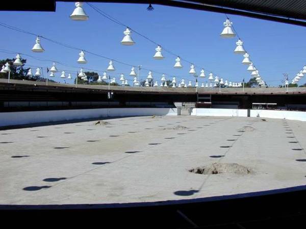 Earl Warren Showgrounds - 19th DAA (12/31/2003)