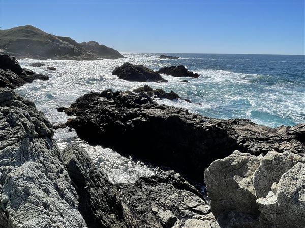Granite Cove Big Sur (2/11/2021)