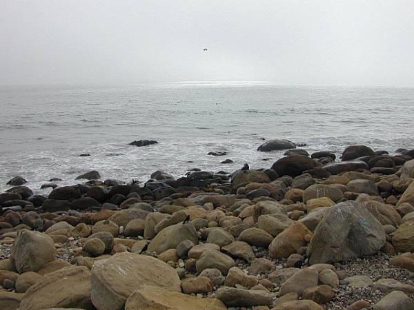 El Capitan State Beach (SB) (12/31/2003)