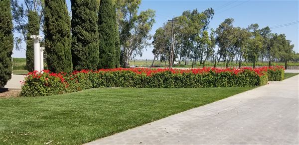 Belle Vie Vineyard and Event Center (3/23/2021)