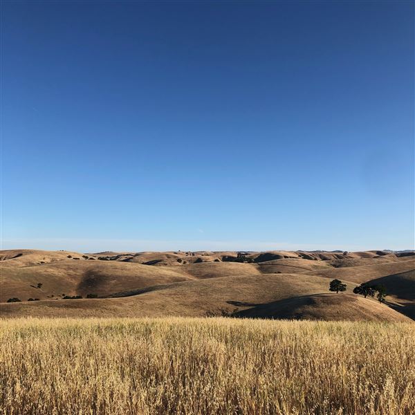 Enney Ranch @ Paso Robles (1/4/2021 - Credits: Courtney Delancey)