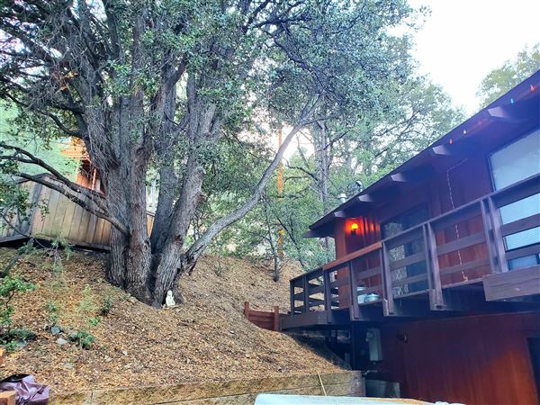 Calm Cabin: Retro Mountain Forest Home - Pine Mountain Club (9/13/2021 - Credits: self)