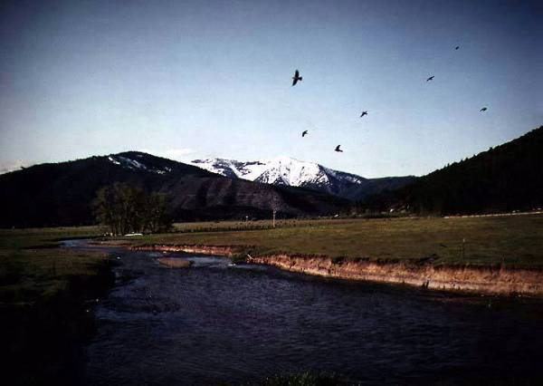 Middle Fork Feather River - Plumas County (12/31/2003)