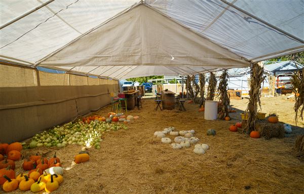 Julia's Fruit Stand (3/1/2022 - Credits: Film Tehama)