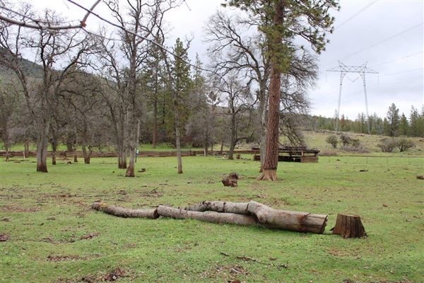 Payne's Creek (3/1/2022 - Credits: Film Tehama)