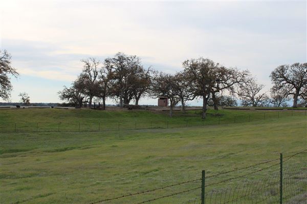 Buckhorn Loop (3/1/2022 - Credits: Film Tehama)