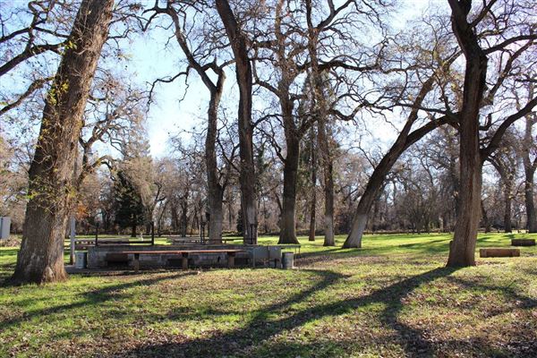 Cone Grove Park (3/1/2022 - Credits: Film Tehama)