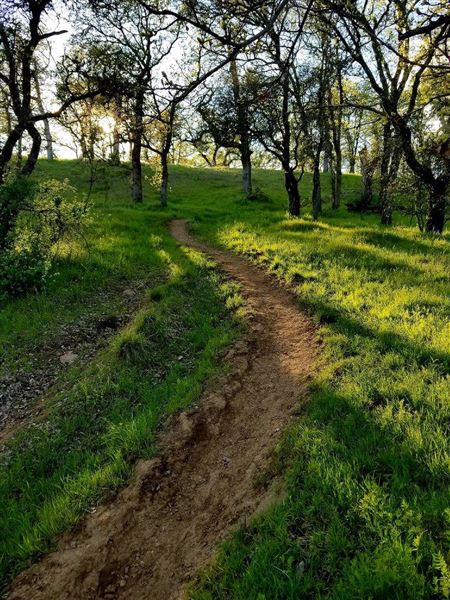 Payne's Creek Wetlands (3/1/2022 - Credits: Film Tehama)