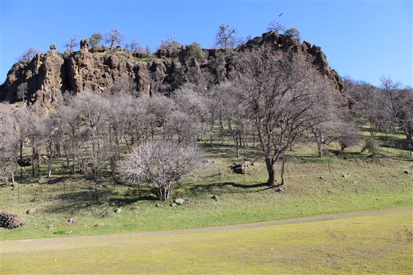 Meadowbrook Ranch (3/1/2022 - Credits: Film Tehama)