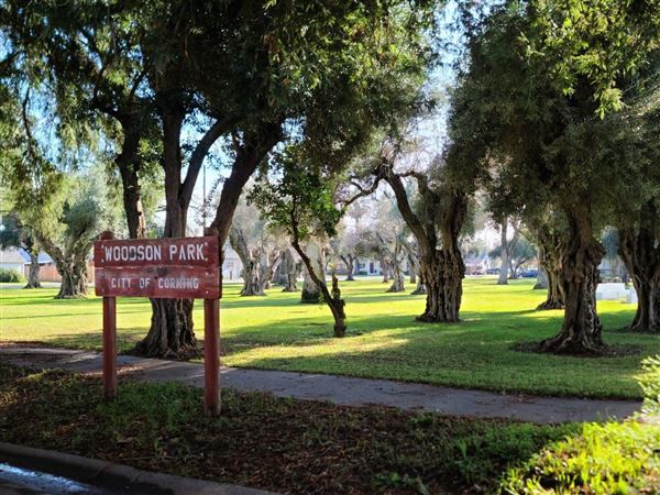 Woodson Park (3/1/2022 - Credits: Film Tehama)
