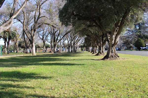 Woodson Park (3/1/2022 - Credits: Film Tehama)