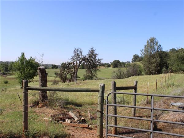 Sicard Flat (4/11/2022)