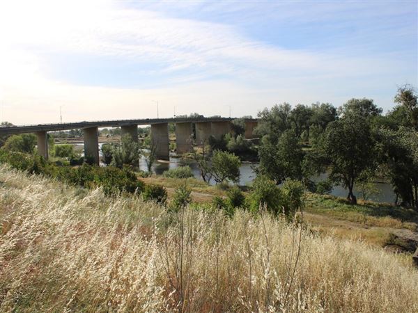 Train Bridge (4/11/2022)