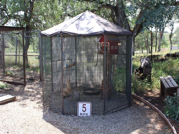 West Coast Falconry (4/11/2022 - Credits: Yuba Sutter Film Commission)