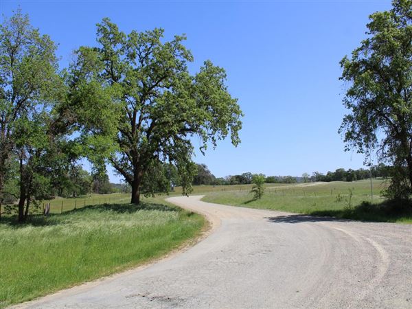 Waldo Junction (4/11/2022)