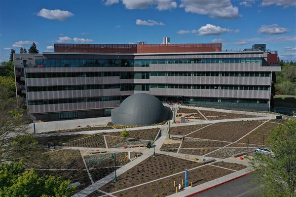 California State University, Sacramento (CSUS) (4/7/2020)