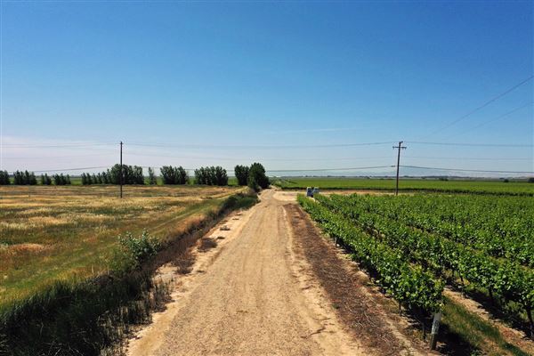 Various Rural Farms And Ranches (8/9/2022)