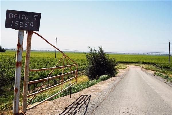 Various Rural Farms And Ranches (8/9/2022)