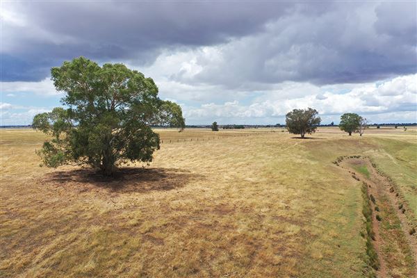 Various Rural Farms And Ranches (8/9/2022)
