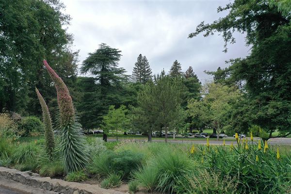 William Land Regional Park (5/13/2020)