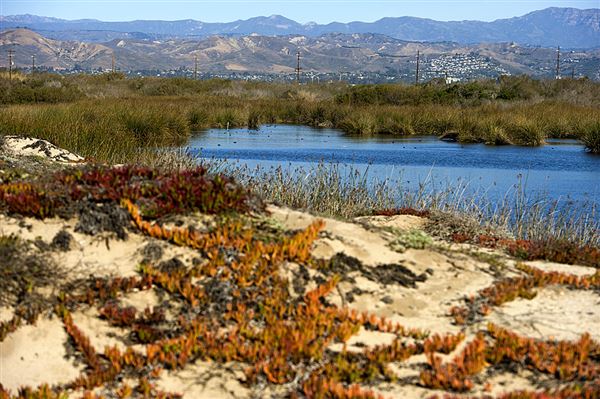 McGrath State Beach (SB) (1/9/2012 - Credits: Brian Baer)