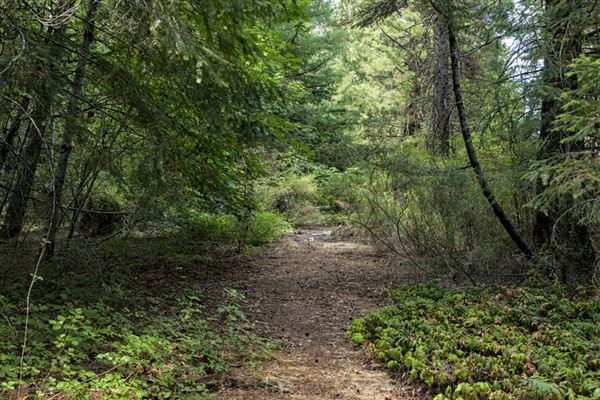 Reynolds Wayside Campground State Park (SP) (6/26/2015 - Credits: Brian Baer)