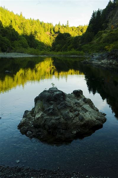 Smithe Redwoods State Natural Reserve (SNR) (6/21/2010 - Credits: Brian Baer)