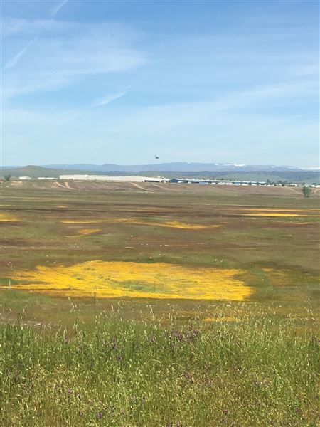 Oroville Wildlife Area - California Department of Fish & Wildlife (CDFW) - Brad Freeman Trail looking northeast (9/16/2022 3:02:40 PM - Credits: Provided by Area Manager AJ Dill with CDFW)