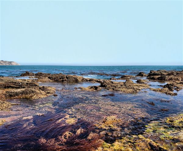 Terranea Resort and Terranea Beach Sea Caves (8/6/2015 - Credits: Terranea Resort)