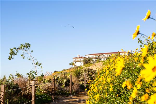 Terranea Resort and Terranea Beach Sea Caves (2/21/2019 - Credits: Terranea Resort)