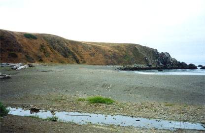 Sandy Cove Beach @ Fort Ross State Historic Park (SHP) (12/31/2003)