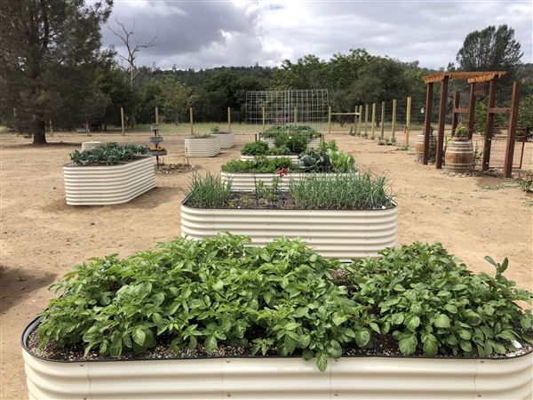 Reed River Ranch (1/26/2023 - Credits: Sally Reed)