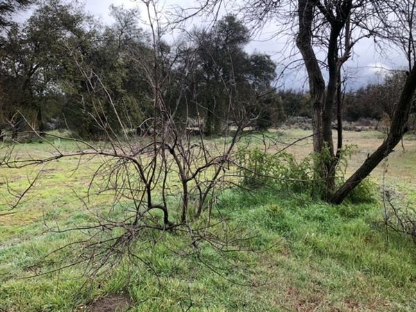Red Thorne Ranch / The Barn Loft / Mini Petting Zoo (3/23/2023 - Credits: Amber Thorne)
