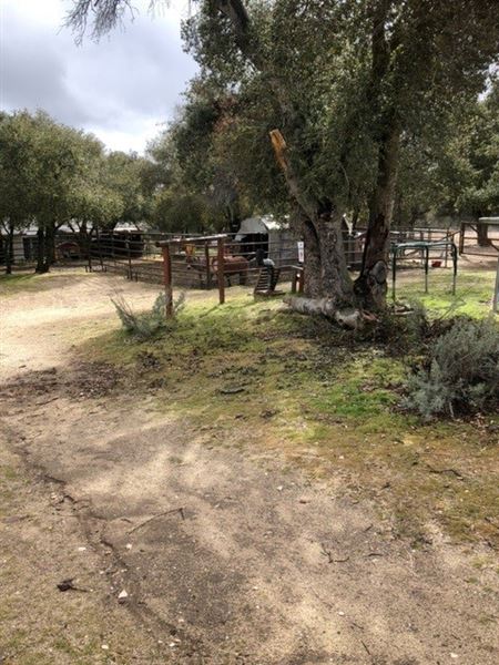 Red Thorne Ranch / The Barn Loft / Mini Petting Zoo (3/23/2023 - Credits: Amber Thorne)