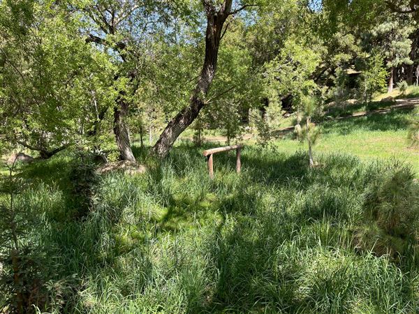 Canyon Ranch (4/3/2023 - Credits: Provided by Julie Hoffman)