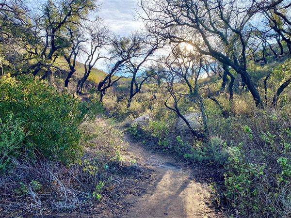 Charmlee Wilderness Park (6/13/2023)