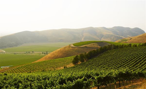 Santa Barbara Wine Country (1/31/2020 - Credits: Militia Consulting)