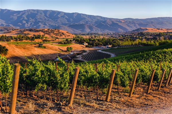 Santa Barbara Wine Country (8/3/2021 - Credits: Militia Consulting)