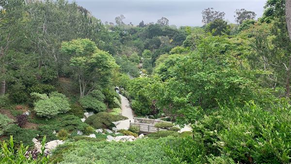 Balboa Park (5/20/2023 - Credits: Brandy Davis)