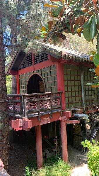 Los Angeles Zoo & Botanical Gardens - LA Zoo (6/25/2023 - Credits: Brandy Davis)