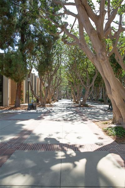 University of California, Los Angeles - UCLA (8/4/2023 - Credits: University of California, Los Angeles - UCLA)