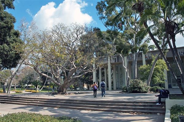 University of California, Los Angeles - UCLA (8/4/2023 - Credits: University of California, Los Angeles - UCLA)