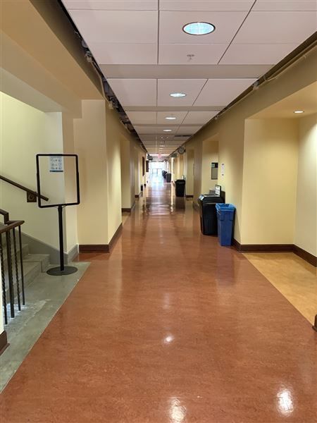 University of California, Los Angeles - UCLA (8/4/2023 - Credits: University of California, Los Angeles -UCLA)