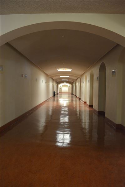 University of California, Los Angeles - UCLA (8/4/2023 - Credits: University of California, Los Angeles -UCLA)