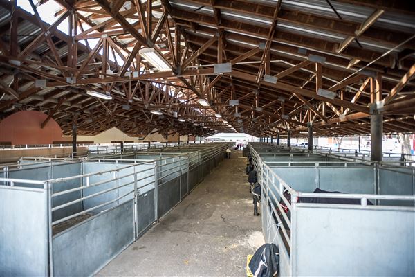 California Mid-State Fair - 16th DAA (9/6/2023 - Credits: Photo provided by California Mid-State Fair)